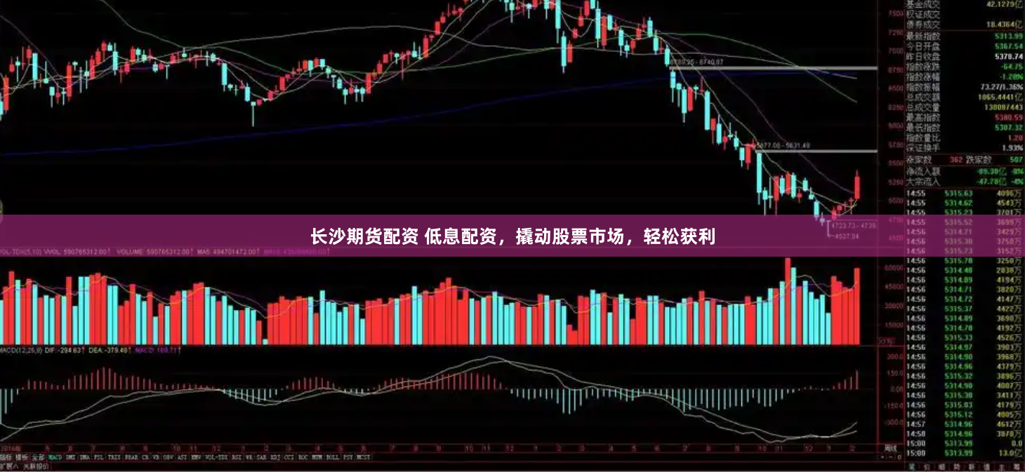 长沙期货配资 低息配资，撬动股票市场，轻松获利